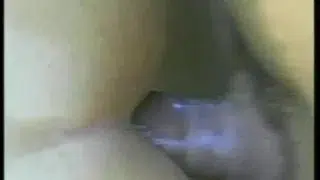 Tales Of The Forest – Scene 2