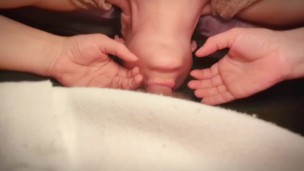 Full movie titty fuck, doggy style, BJ, missionary, huge cum load?