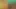 BBW XXX –  Sunflower Fatty Striptease For Your Pleasure